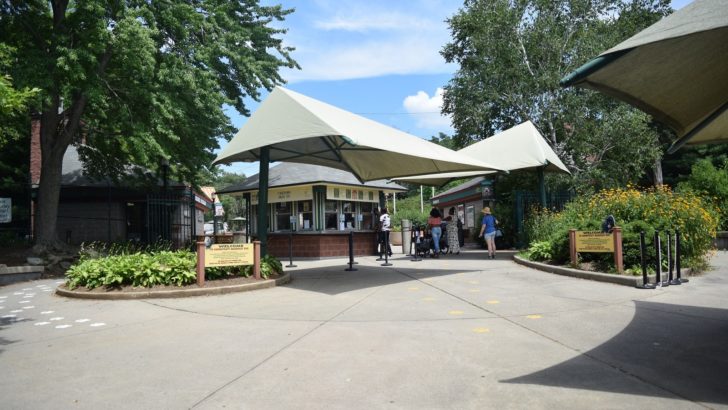 Connecticut’s Beardsley Zoo Temporarily Closes Effective March 17 as a Public Health Precaution