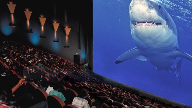 Maritime Aquarium to reopen its IMAX Theater for 7 weeks before it closes for good