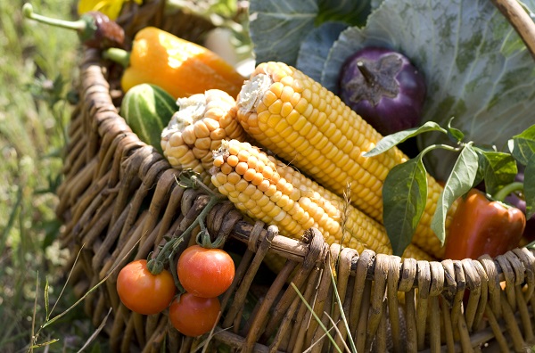 Thirsty Radish Food Series concludes at Norwalk PL on Zoom June 8