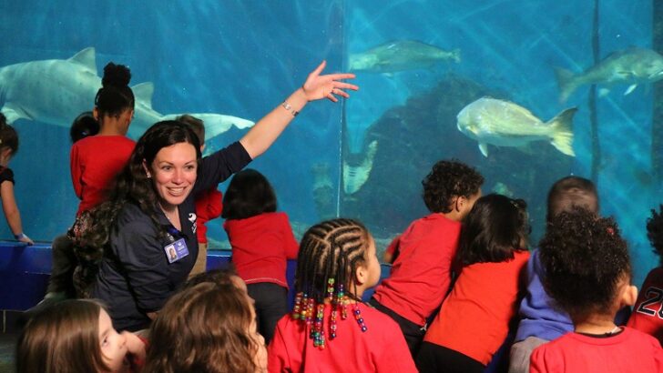 The Maritime Aquarium at Norwalk Named Finalist  for 2022 IMLS National Medal for Museum and Library Service